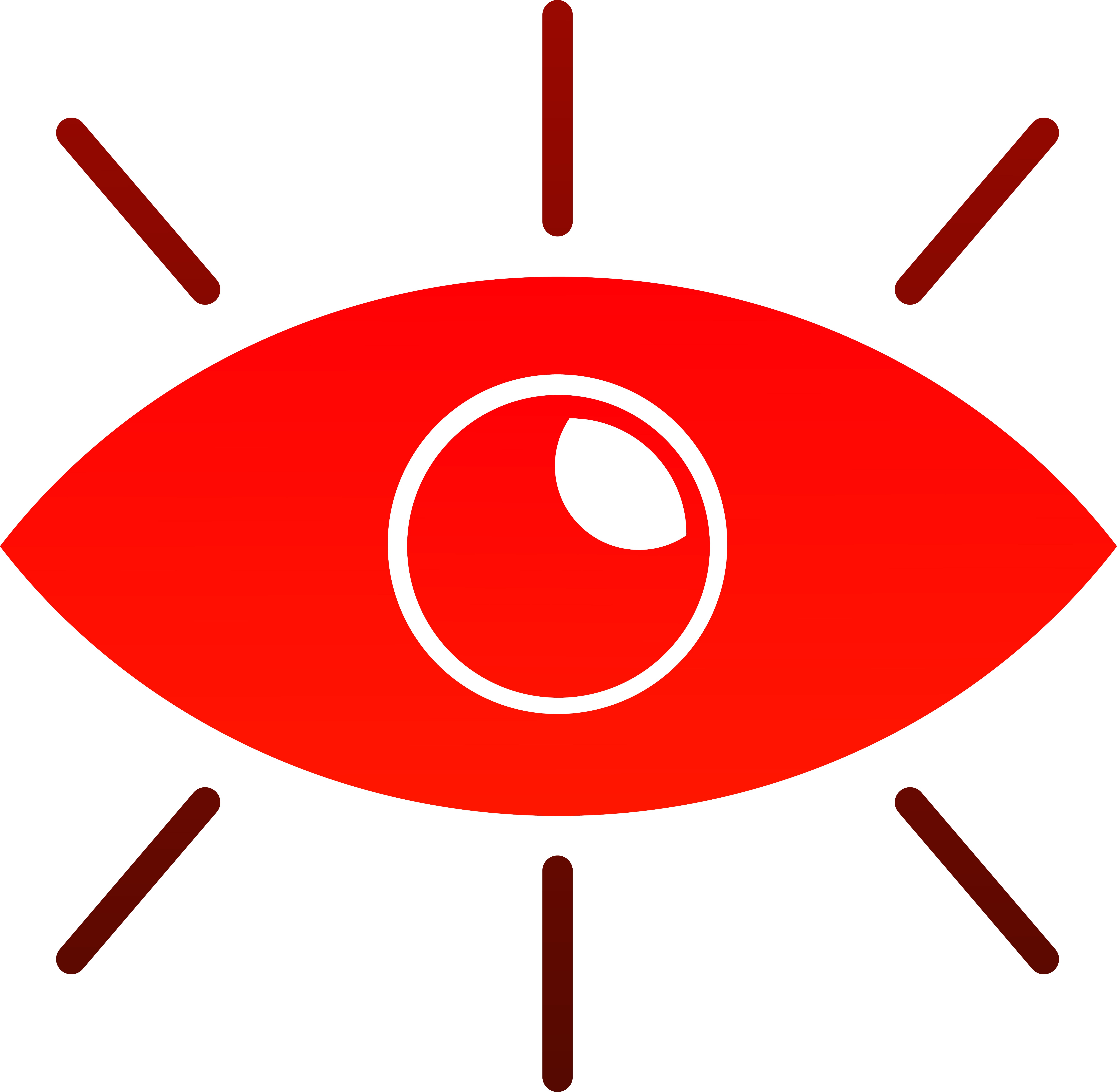 VISION